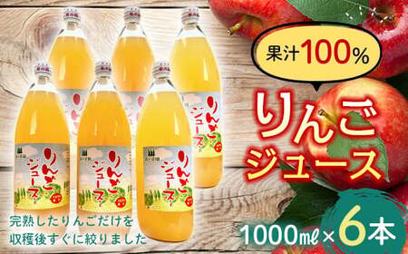 果汁100% りんごジュース (1000ml瓶×６本) 【森の菜園】 F21U-193
