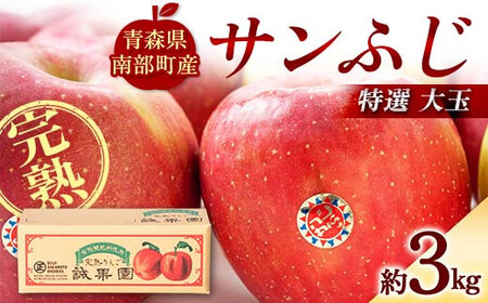 特選 (大玉) 青森産 完熟 りんご サンふじ 約3kg 【誠果園】 F21U-385