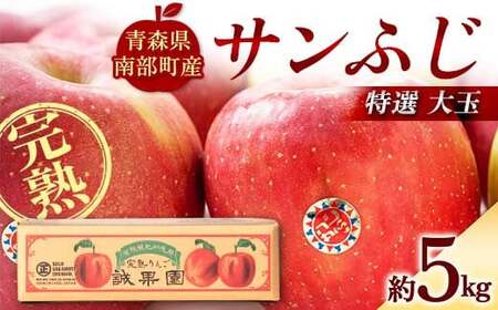 特選 (大玉) 青森産 完熟 りんご サンふじ 約5kg 【誠果園】 F21U-386