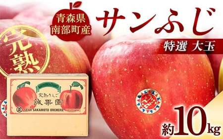 特選 (大玉) 青森産 完熟 りんご サンふじ 約10kg 【誠果園】 F21U-387