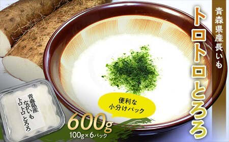 青森県産 長いも　トロトロとろろ　600g(100g×6パック) 【なんぶ農援】便利な小分けパック 無添加 F21U-257