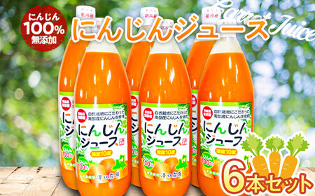 にんじん100% 無添加にんじんジュース 6本セット【澤口農園】  ニンジン にんじんジュース にんじん 人参 ジュース 果汁飲料 飲料 F21U-293