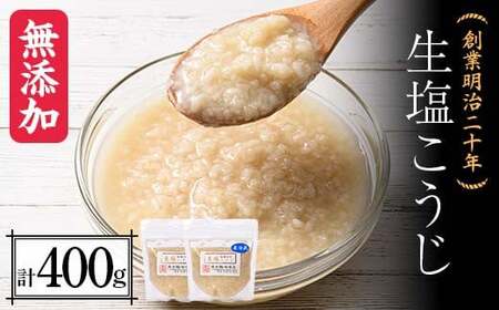 創業明治二十年 もりたの生塩こうじ 200g×2個 【森田麹・味噌店】 無添加 F21U-422