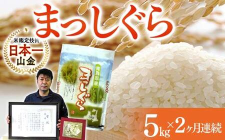 ＜定期便＞【コメ鑑定技術日本一の山金】 まっしぐら 5kg×2ヶ月連続（令和7年産） 白米 精米 F21U-480