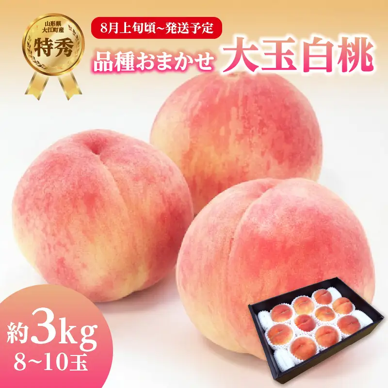 《先行受付》品種おまかせ 大玉白桃 約3kg【特秀】 （8～10玉）【2026年8月上旬頃～発送予定】 001-100