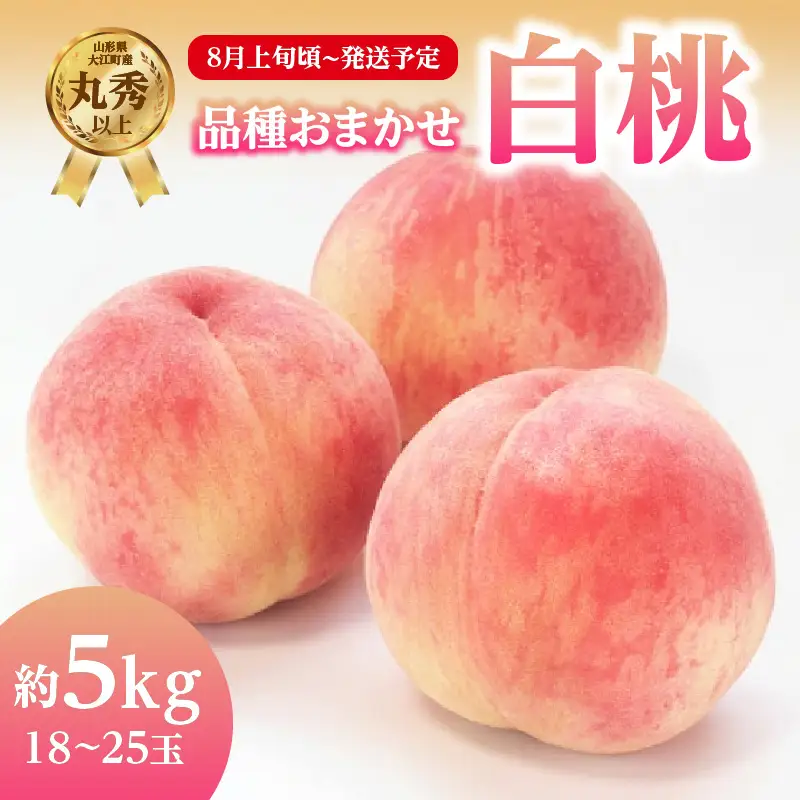 《先行受付》品種おまかせ 白桃 約5kg【丸秀以上】 （18～25玉）【2026年8月上旬頃～発送予定】 001-101