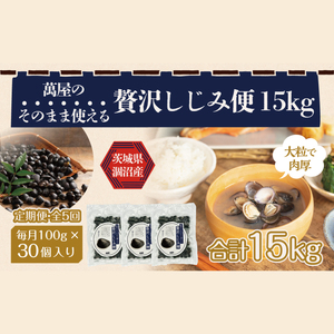 【5ヶ月定期便】涸沼産冷凍しじみ中粒３kg（100g×30p）（CA-18）