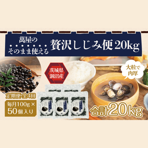 【4ヶ月定期便】涸沼産冷凍しじみ中粒５kg（100g×50p）（CA-29）