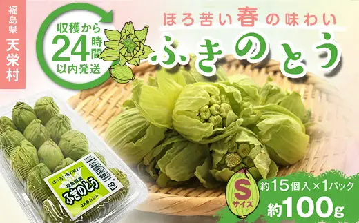収穫から24時間以内に発送！ほろ苦い春の味わい「ふきのとう」Sサイズ1パック100g（約15個） F21T-351