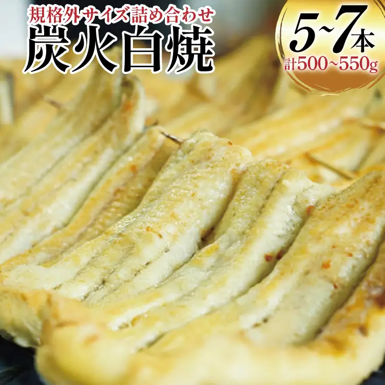 うなぎ 国産 訳あり 白焼 血抜き締め 500～550g セット 5～7本程度 [ヤママツ村田商店 静岡県 吉田町 22424596-b]