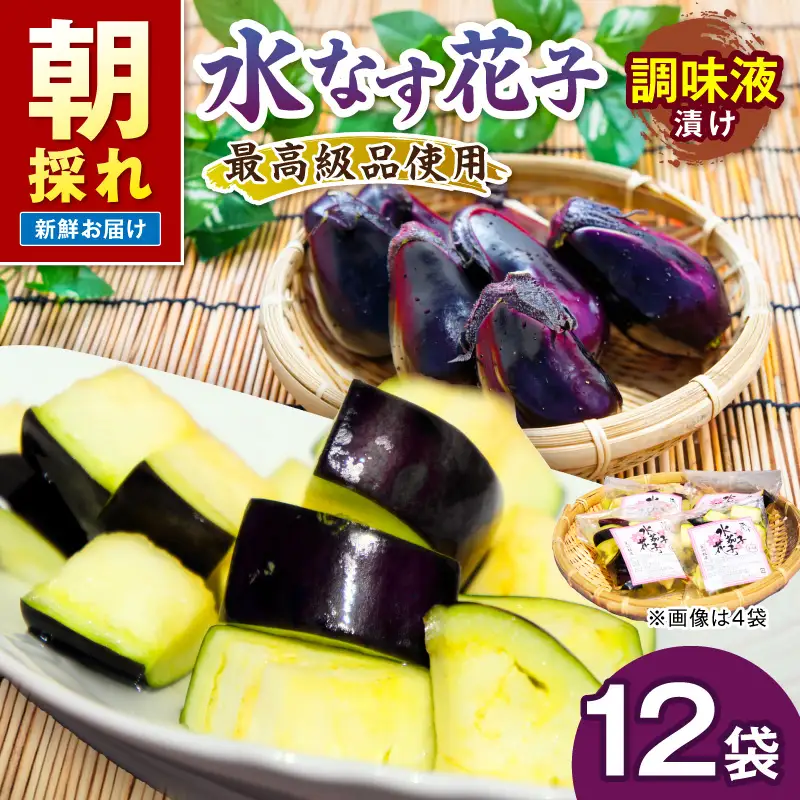 泉南銘産 水なす調味液漬け 水なす花子 12袋【042D-024】