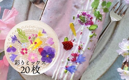 ドライ エディブルフラワー 彩りミックス 20枚　食用花 押し花加工 ケーキ トッピング デコレーション マカロン メレンゲ アイシングクッキー バレンタイン EB-0003