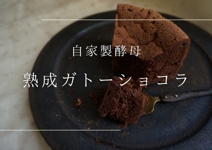 熟成ガトーショコラ【たねのおやつ】_HA1675