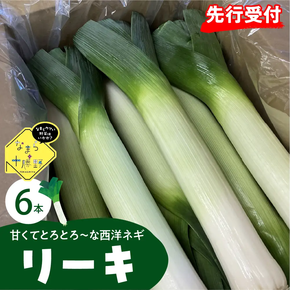 【先行受付】【2026年11月より発送】北海道十勝芽室町　なまら十勝野の鳥本農場リーキ 6本 ネギ 西洋ネギ ねぎ 甘い ステーキme001-046c