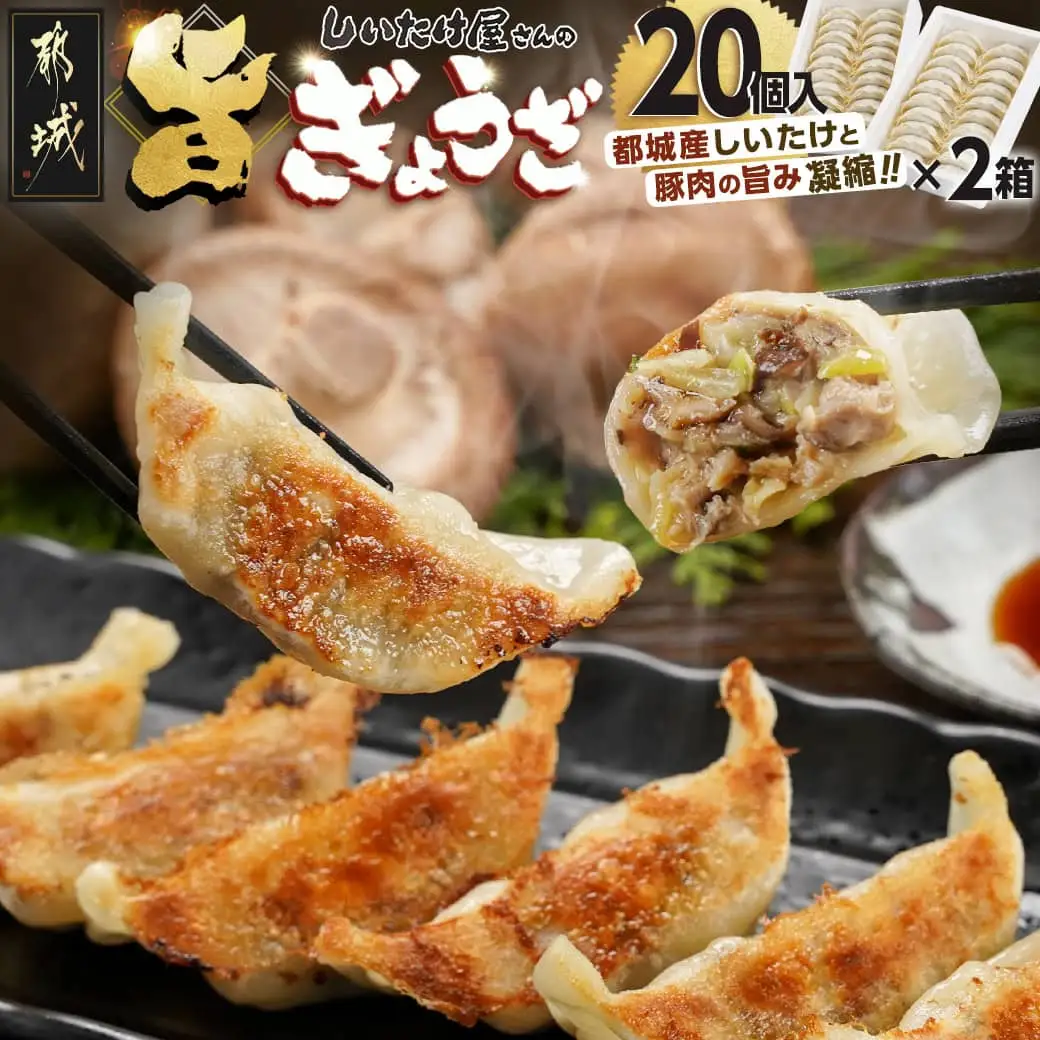しいたけ屋さんの旨ぎょうざ〔AA-M101〕_(都城市)  ぎょうざ 旨餃子 都城産 しいたけ 豚肉 20個入り×2 椎茸たっぷり 焼き餃子 蒸し餃子 揚げ餃子