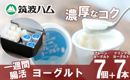 ヨーグルト 筑波ハム 一週間腸活ヨーグルトギフト