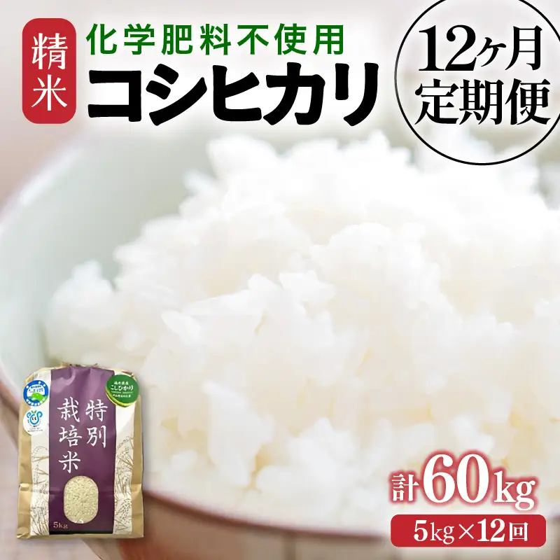【先行予約】【令和8年産】定期便 ≪12ヶ月連続お届け≫ 化学肥料不使用 特別栽培米 コシヒカリ 精米 5kg × 12回（合計60kg） / 白米 米 福井県あわら市産 美味しい 特別栽培米 減農薬 安心な米 旨味 甘み もっちり 冷蔵保管米 ※2026年10月上旬以降発送予定 [aw010-k003]