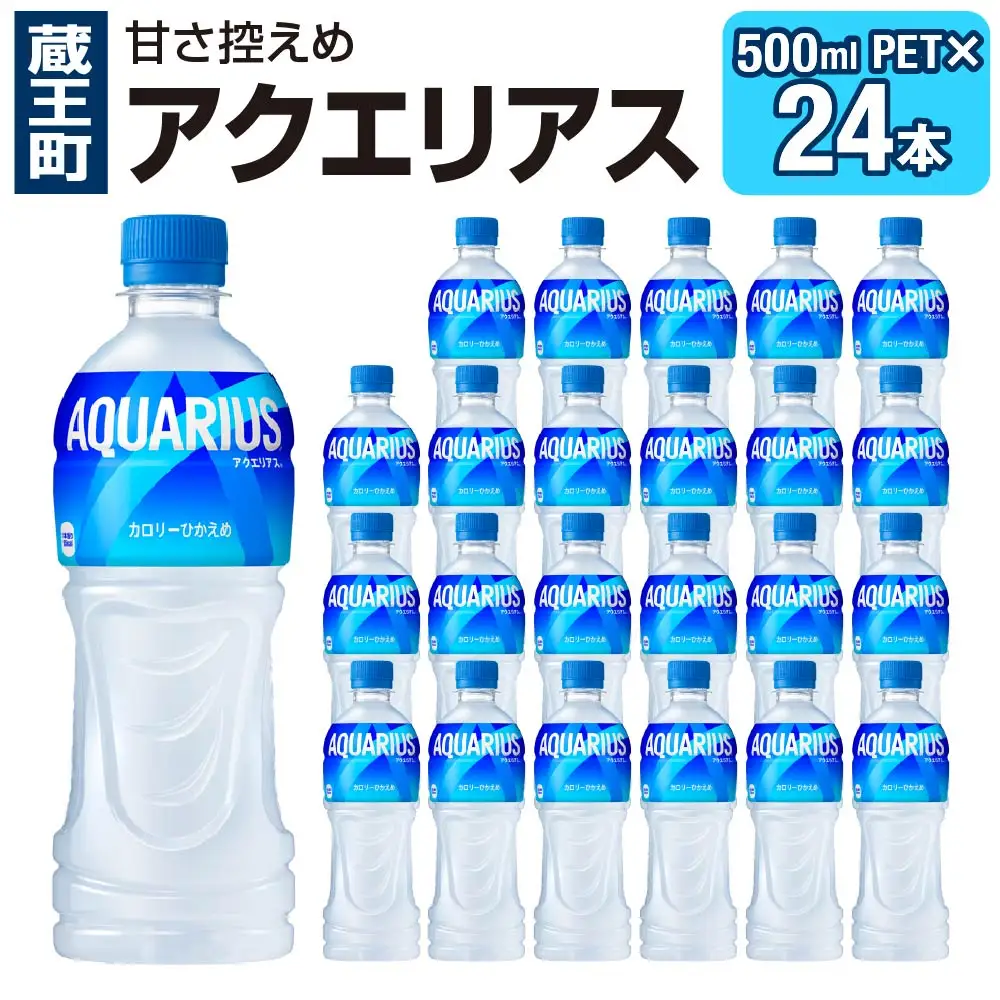 アクエリアス 500mlPET×24本　【04301-0039】