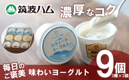 ヨーグルト 筑波ハム 毎日のご褒美 味わいヨーグルトギフト