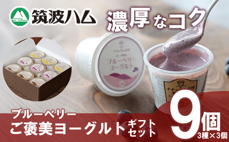 ヨーグルト 筑波ハム ブルーベリー ご褒美ヨーグルトギフトセット