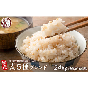国産麦5種ブレンド 24kg(400g×60袋)
