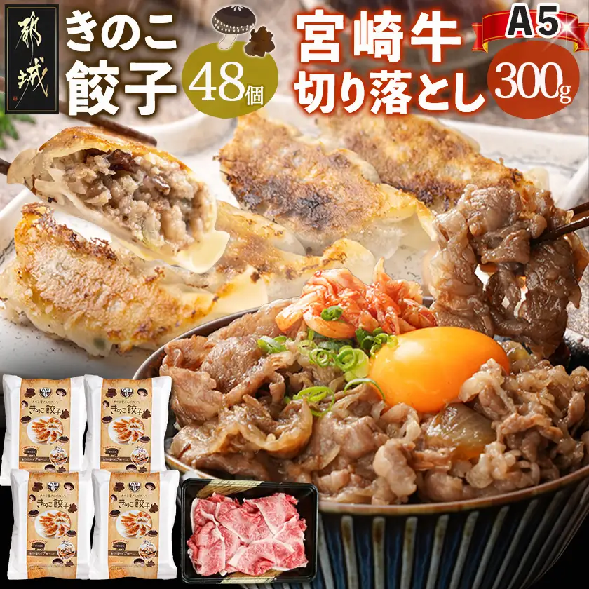 きのこ餃子48個&宮崎牛(A5)霜降り切り落し300g_18-8701_(都城市) ギョウザ 12個入り 4パック 椎茸 きくらげ 都城産ブランド豚 きなこ豚 きゃべつ ニラ ニンニク使用 ヘルシー餃子 大杉しいたけ園 都城産宮崎牛 切り落し 肩 バラ 霜降り