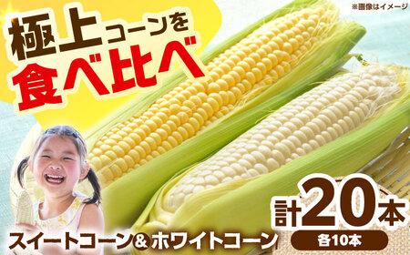 【6月以降発送予定】とうもろこし 食べ比べセット[AOCS030]
