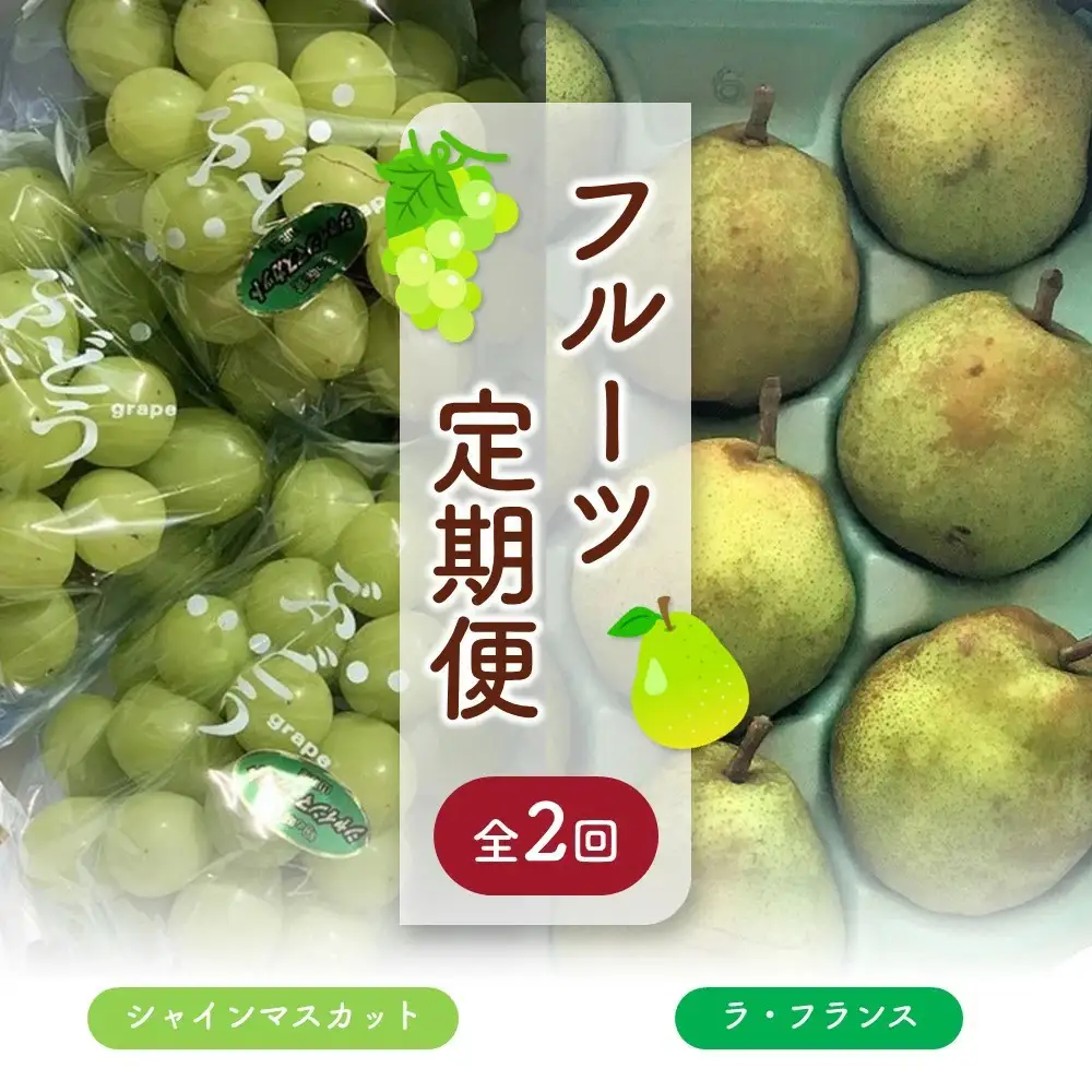 【定期便：全２回】＜ご家庭用＞シャインマスカット１.５ｋｇとラ・フランス３ｋｇ　0049-2602