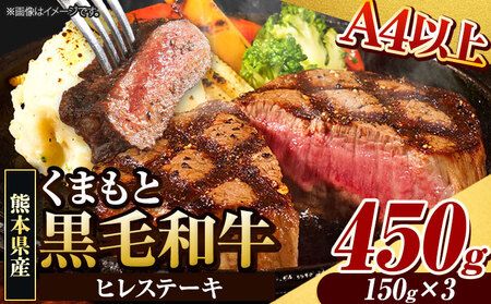 くまもと黒毛和牛 ヒレステーキ 450g ステーキ《90日以内に出荷予定(土日祝除く)》