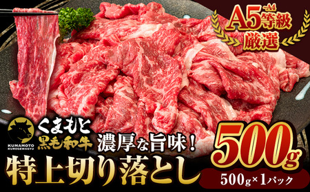 黒毛和牛 切り落とし  ウデ モモ 500g 牛肉 切り落とし《30日以内に出荷予定(土日祝除く)》