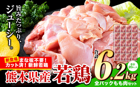 鶏肉 小分け 鶏肉 もも カット済 若鶏6.2kg《3-7日以内に出荷予定(土日祝除く)》