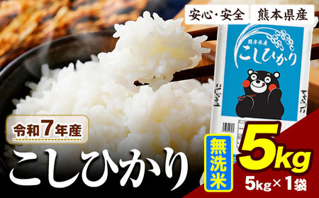 令和7年産 こしひかり 無洗米 5kg 無洗 　《7-14日以内に出荷予定(土日祝除く)》