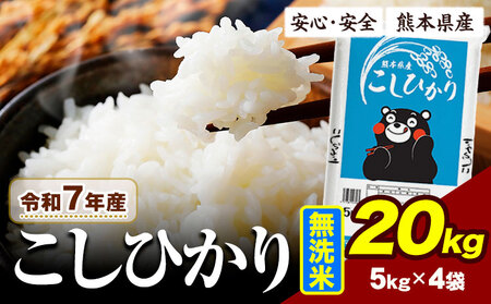 令和7年産  こしひかり 無洗米 20kg 無洗　《7-14日以内に出荷予定(土日祝除く)》