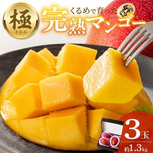 【2026年6月以降お届け】極　完熟マンゴー（3玉：約1.3kg）_完熟マンゴー 3玉 約 1.3kg 久留米産 平均糖度 17度～18度 完熟 マンゴー 国産 フルーツ トロピカルフルーツ 果物 デザート 冷蔵 クール便 お取り寄せ お取り寄せフルーツ 福岡県 久留米市 送料無料 〔Fm019〕