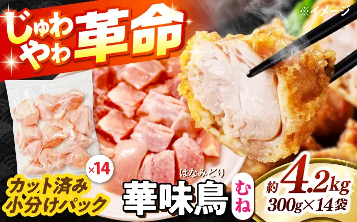 【鶏肉】華味鳥 むね 4.2kg 冷凍【鶏肉】[SFS008]