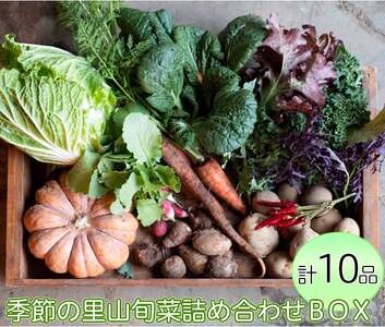 わたね　季節の里山旬菜詰め合わせＢＯＸ（計１０品）≪ギフト セット 野菜 無農薬 グルメ≫
