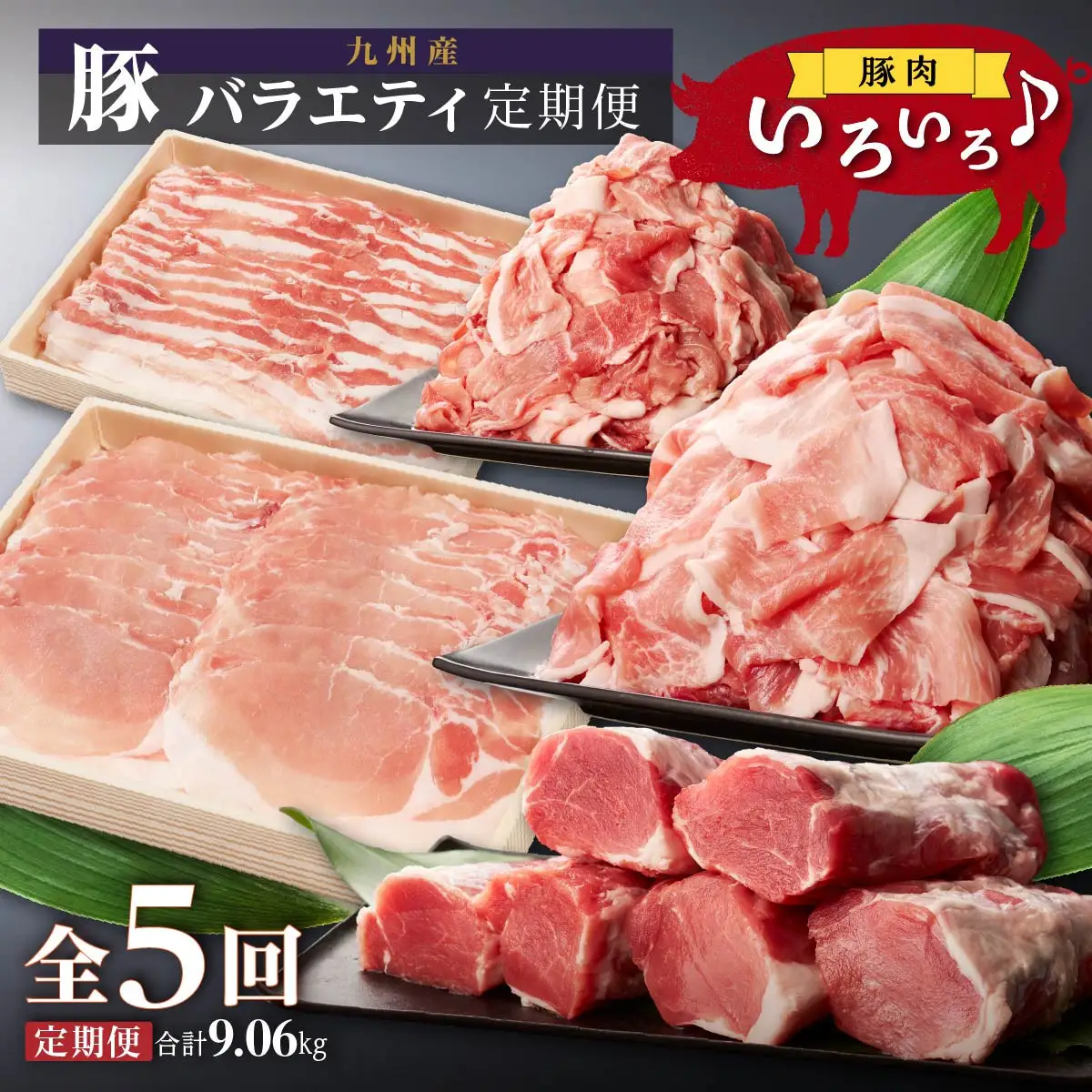 九州産・豚バラエティ定期便（計５回）