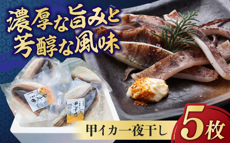 甲イカ一夜干し 5枚 [BGAW001] いか 干物