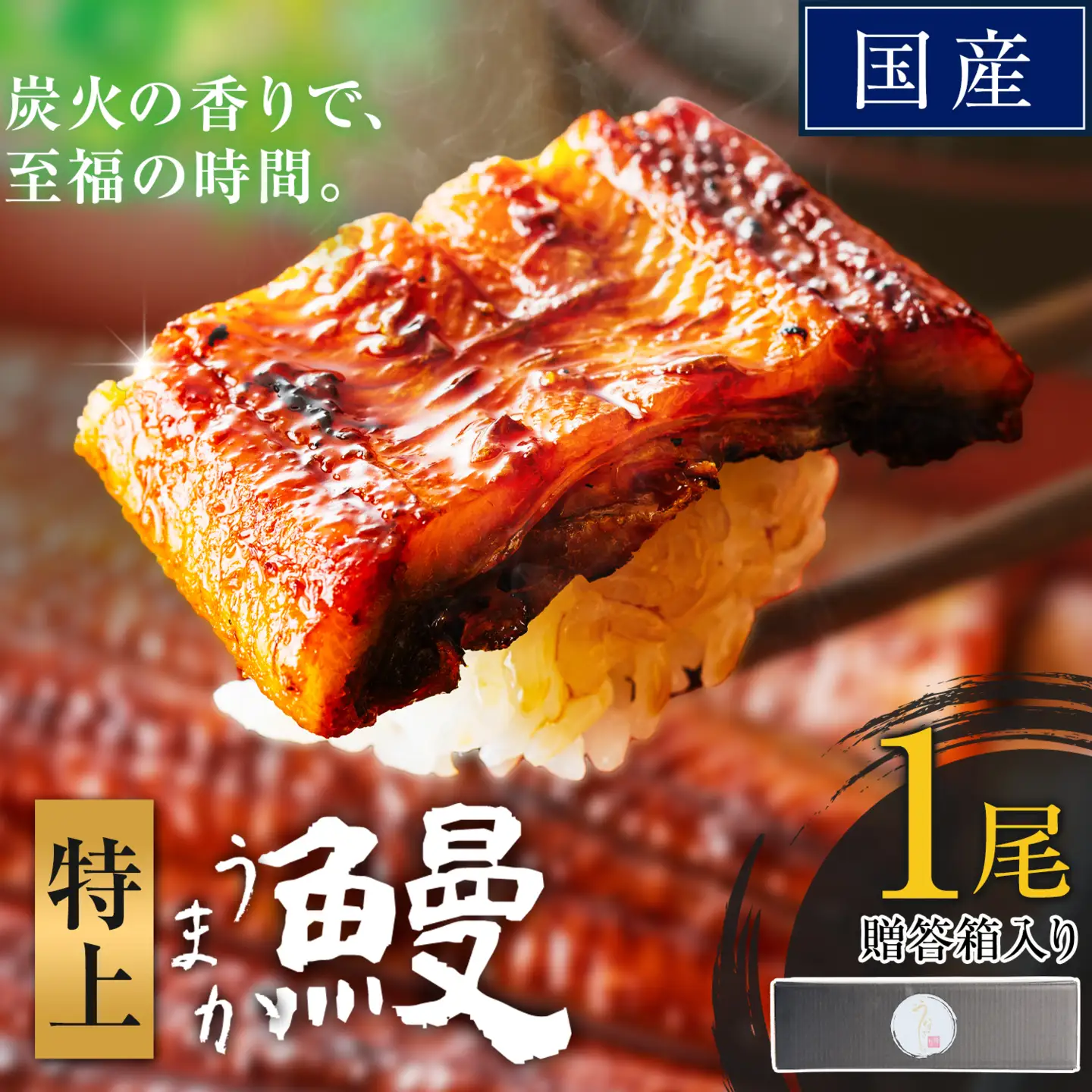 うなぎ 特上サイズ 1尾 贈答箱入り 鰻 《30日以内に出荷予定(土日祝除く)》