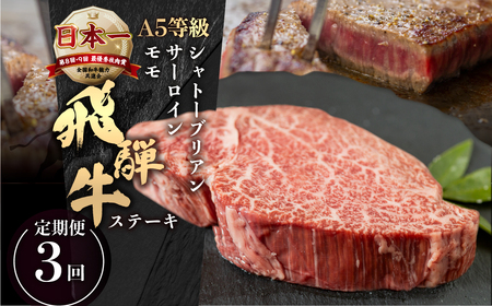 [A5等級] 飛騨牛 ステーキ 3回 定期便 ステーキ トキノ屋食品 [mt677]