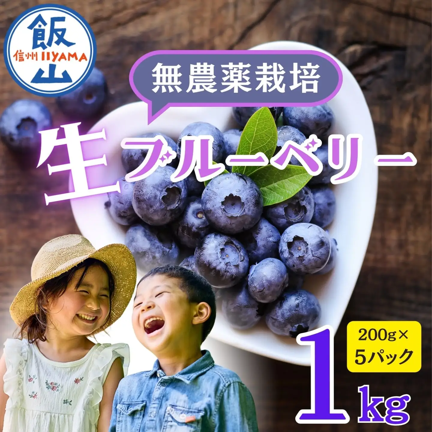 《生》ブルーベリー １kg 【2026年7月より発送 先行予約】 Br-002