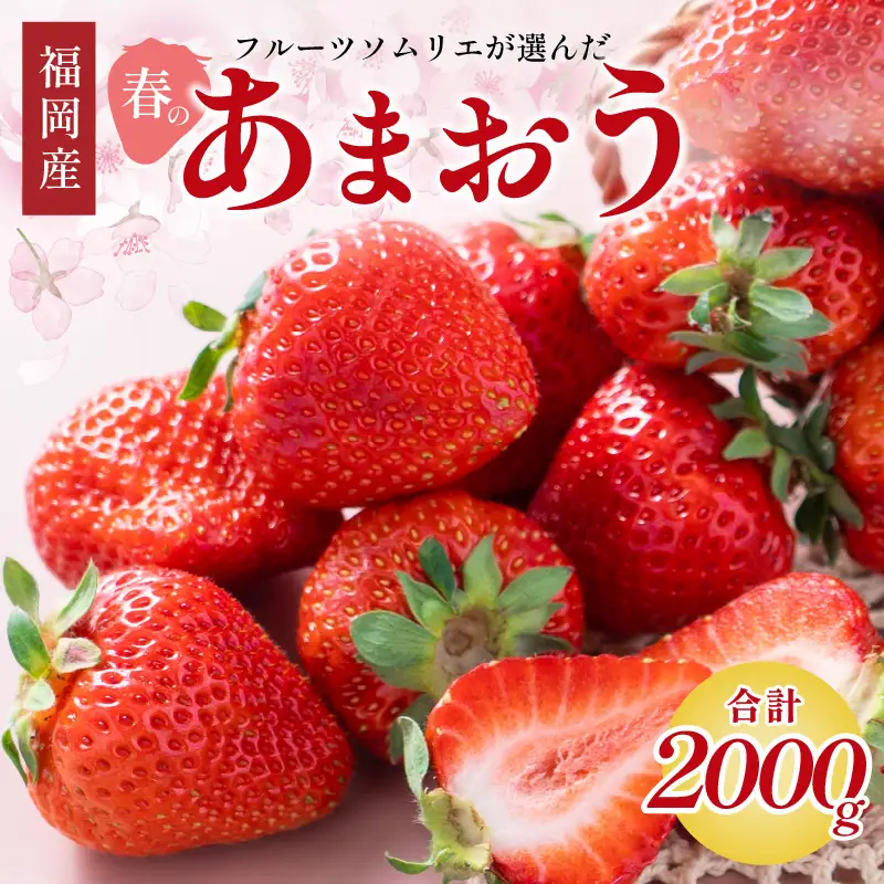 フルーツソムリエが選んだ福岡産【春】あまおう8パック【011-0091】