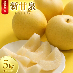 数量限定 鳥取県産梨 新甘泉（しんかんせん）5kg（8～12玉）
