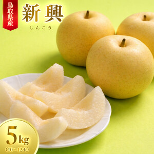 【先行予約】数量限定 鳥取県産梨 新興（しんこう） 5kg（10～12玉）