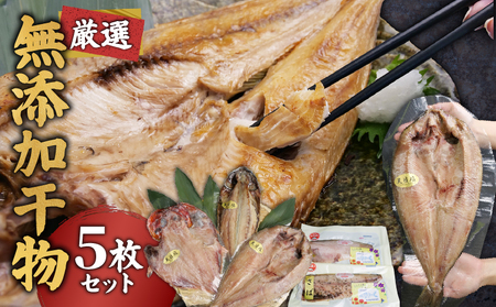 干物 無添加 厳選 5種  『とびっきり！しずおか』で紹介いただきました！ 干物