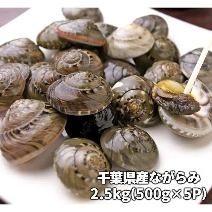 C01-E07 千葉県産ながらみ 2.5kg