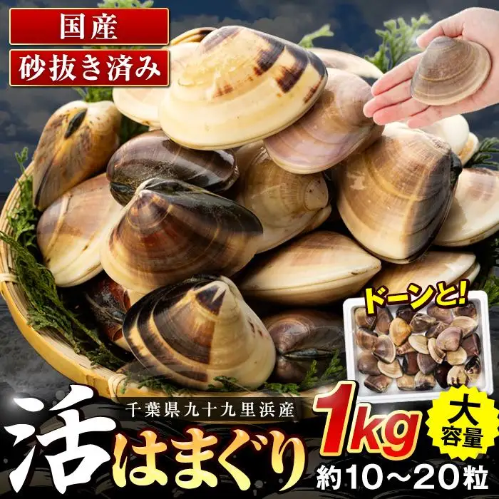 C01-E11 千葉県産活ハマグリ 1kg