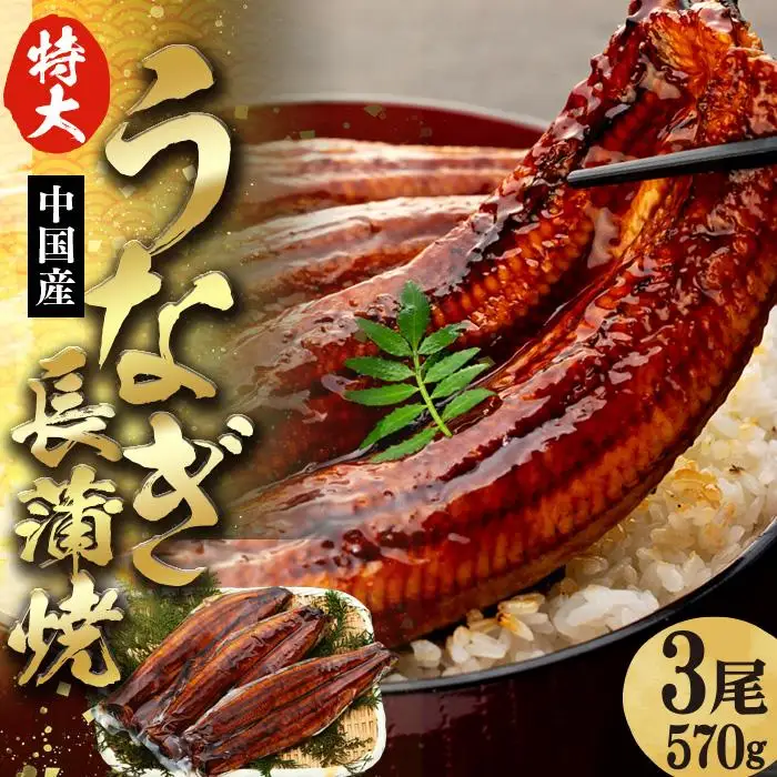 C01-J25 特大うなぎ長蒲焼 570g