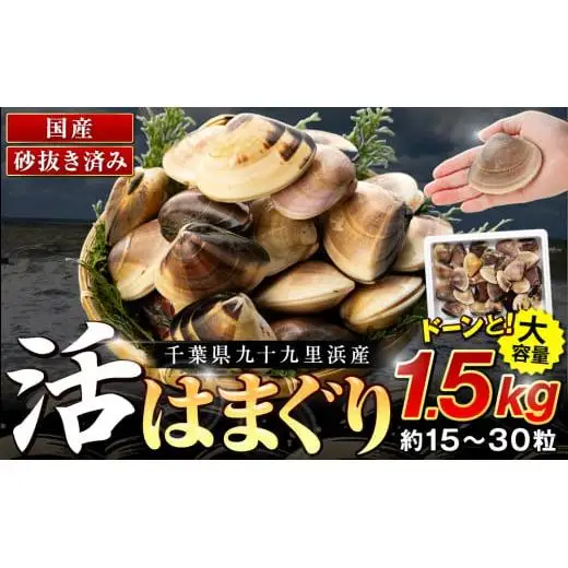 C01-J53 千葉県産活ハマグリ 1.5kg