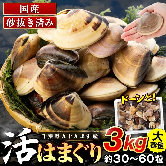 C01-I58 千葉県産活ハマグリ 3kg